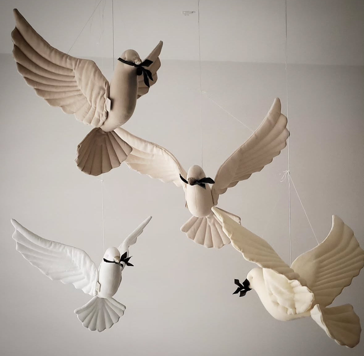 【stock】Pigeon