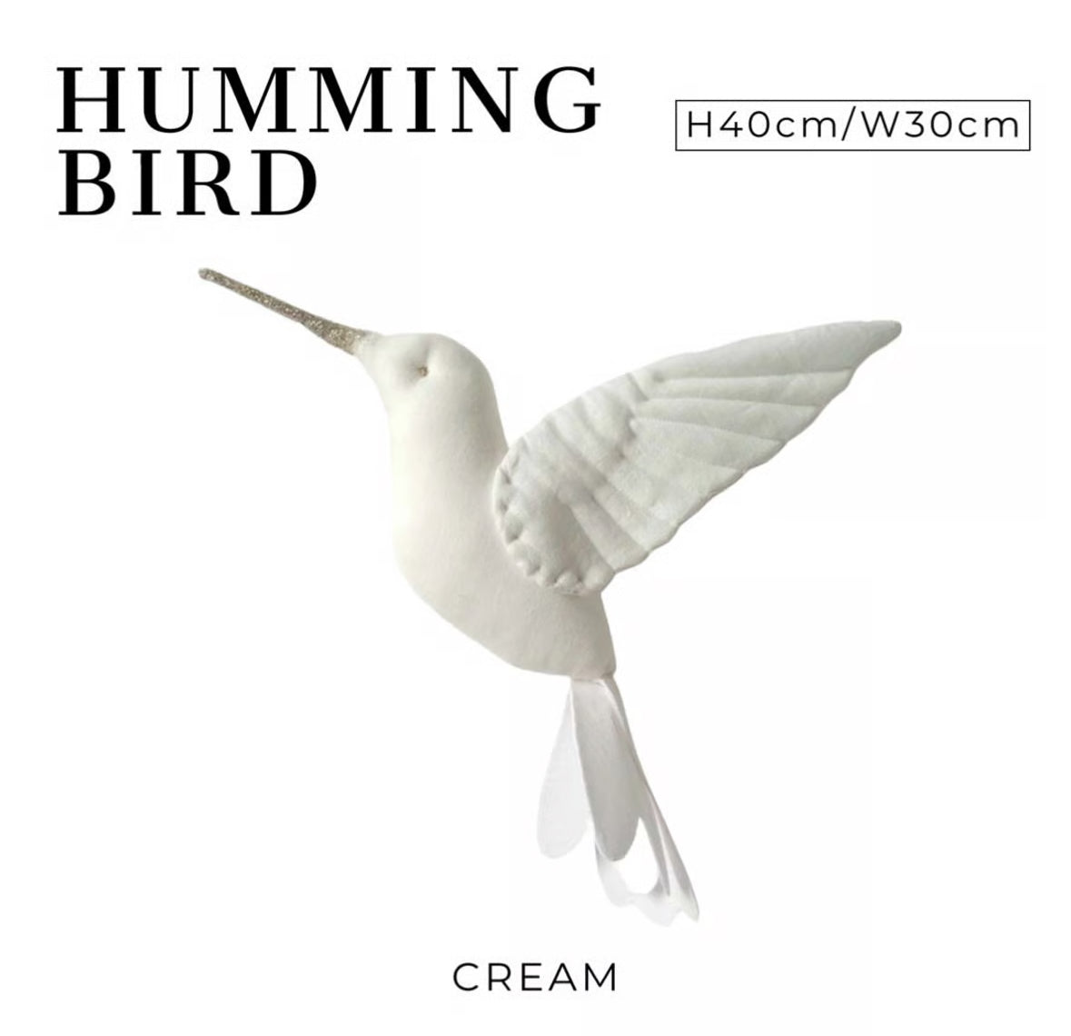 【stock】Humming bird