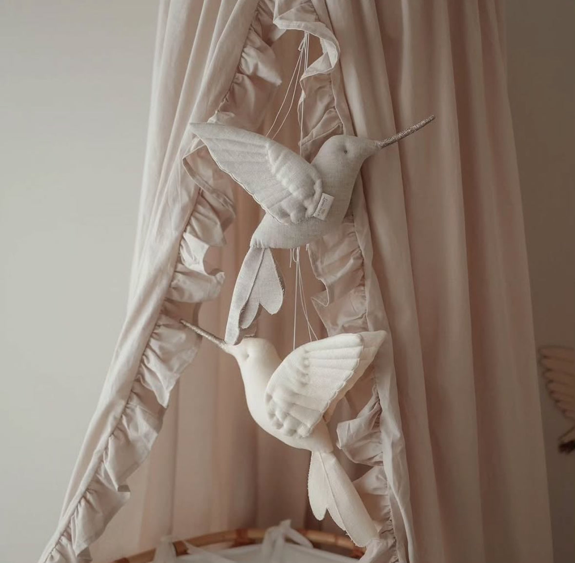 【stock】Humming bird