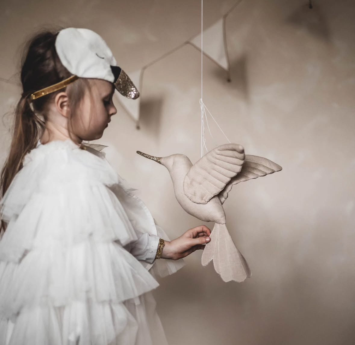 【stock】Humming bird
