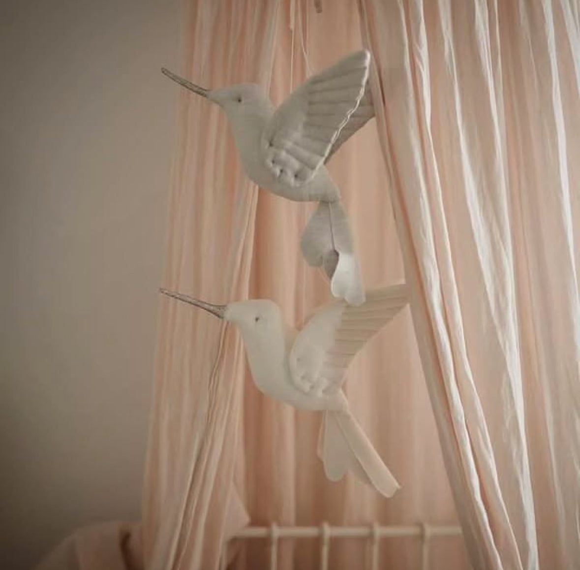 【stock】Humming bird