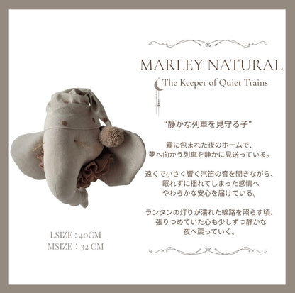 【stock】Elephant nightcapーThe Station Before Dreams