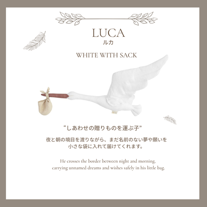 【stock】StorkーThe Harbor Between Night and Dawn