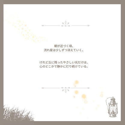 【stock】Bear with hatーThe Hill Beneath the Falling Stars