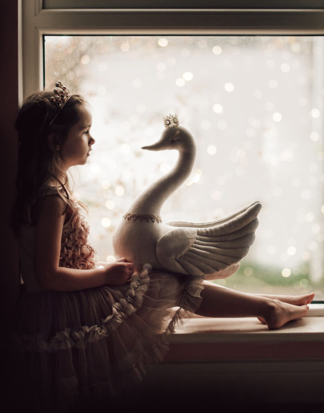 【stock】NEW Swan with crown