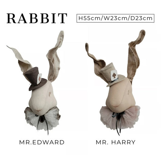 【stock】Rabbit  with hat