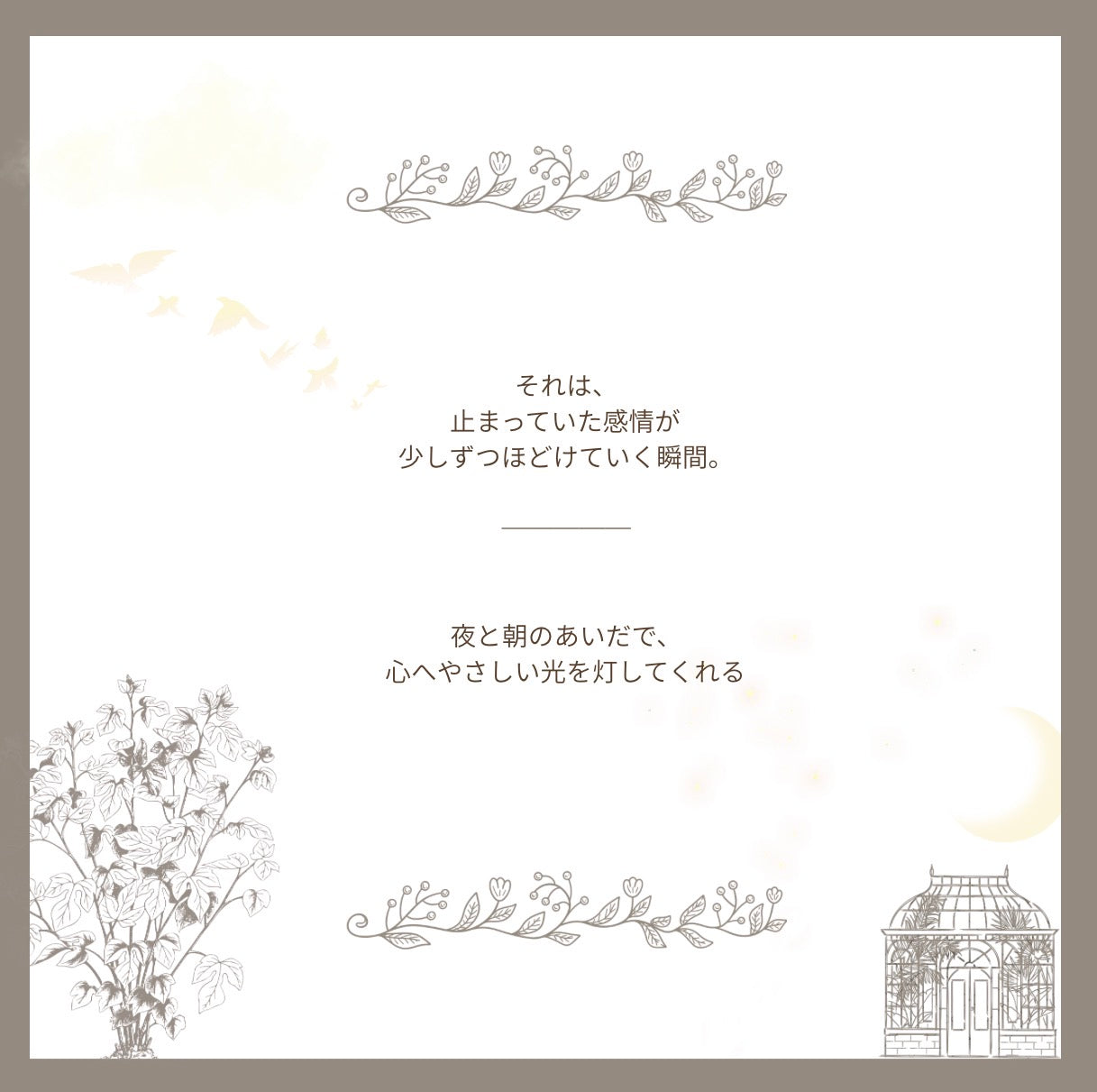 【stock】Humming birdーThe Glass Garden Before Dawn